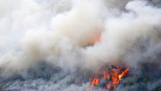 美國多地出現火災！超7000公頃土地被燒，8000美國民眾緊急撤離-圖3