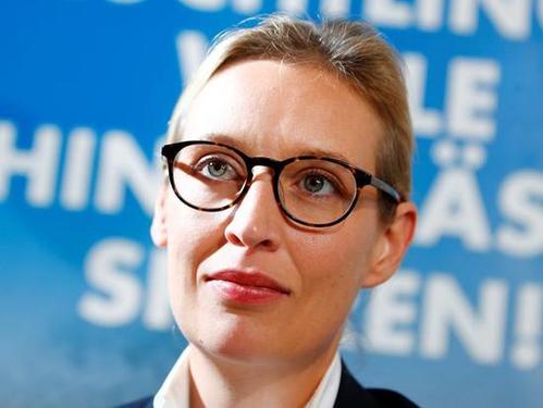 『』老板：不爱说话的员工，工作能力也比别人强！从这4点看出