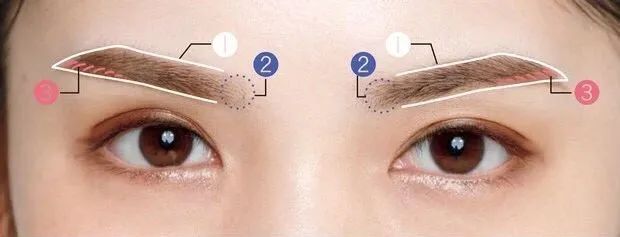 眉粉|画了那么多年眉毛，这3个知识点最近才知道