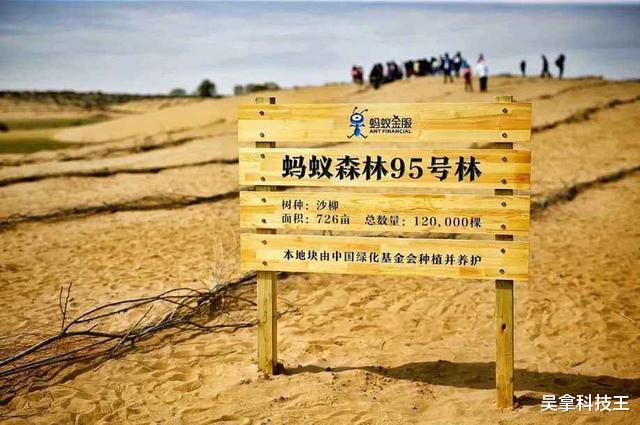 「蚂蚁森林」5亿网友种了4年树！马云打造的“蚂蚁森林”，现在长成啥样了？