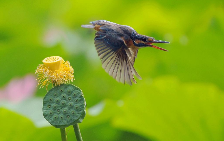 「」4月26.27号，3生肖财运攀升，事业有成，一家人福禄双全