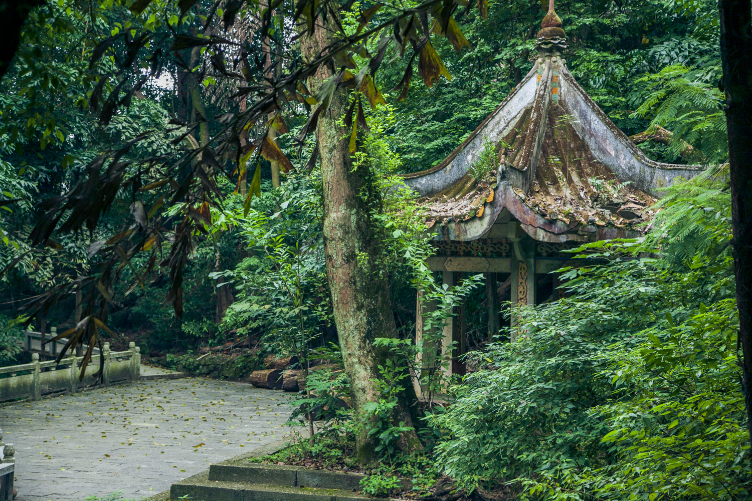 退休：有人提议，退休后就到处租房旅游，哪儿美就住在哪儿，这可行吗？