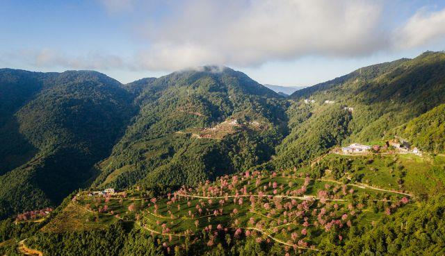 云南|错峰旅游，11月份最值得去的三大目的地，去过一个以上就是达人