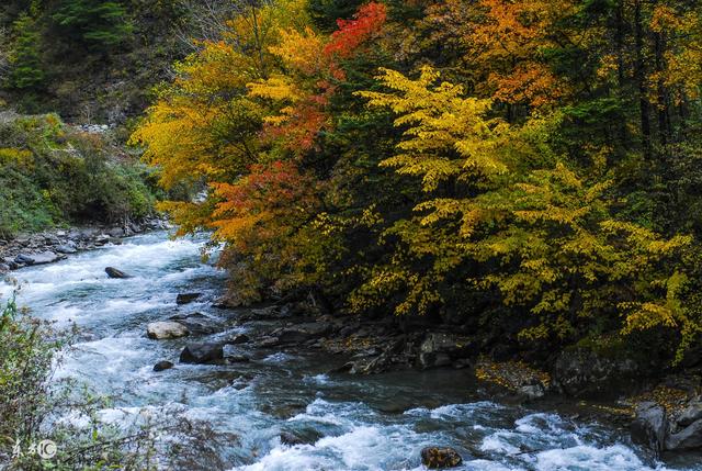 生肖：5月9号后，霉运转横财，未来17天，有难得的一笔横财降临3生肖