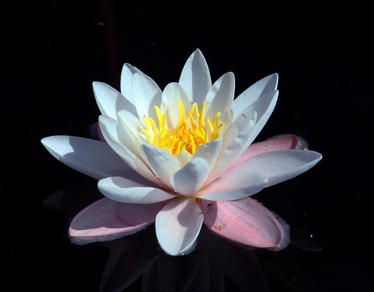 运势|9月底，四生肖好运伴身，财运攀升，金库大爆仓