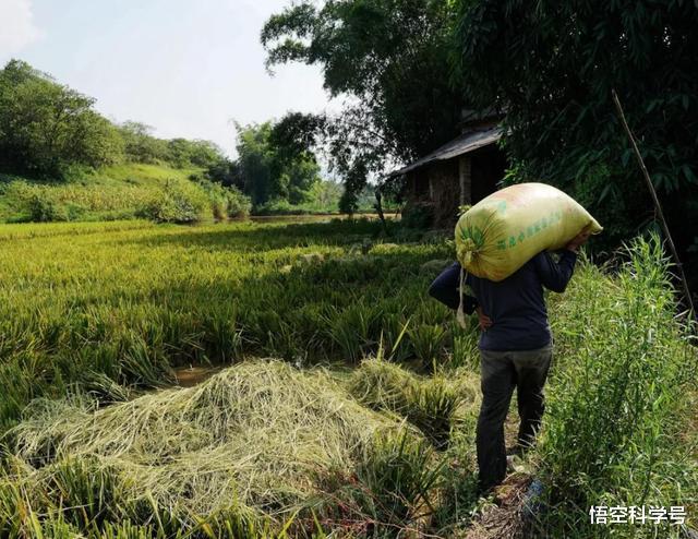 毒蛇|毒蛇,为什么有的蛇有毒?蛇毒是怎么来的?