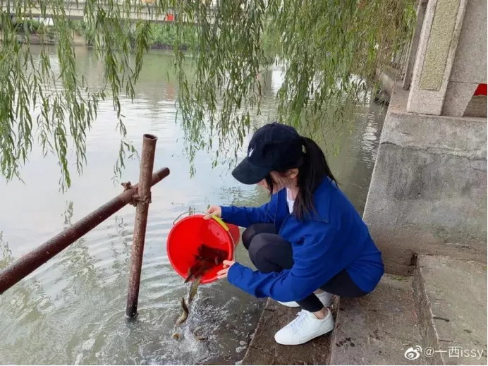 潘玮柏|潘玮柏的这场婚姻闹剧，是对他这个玩咖的最好报复