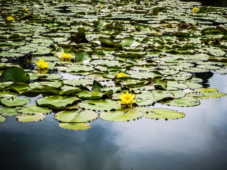摩羯座|8月底，出门喜撞桃花运，前任转身变真爱，步入婚姻殿堂的4大星座
