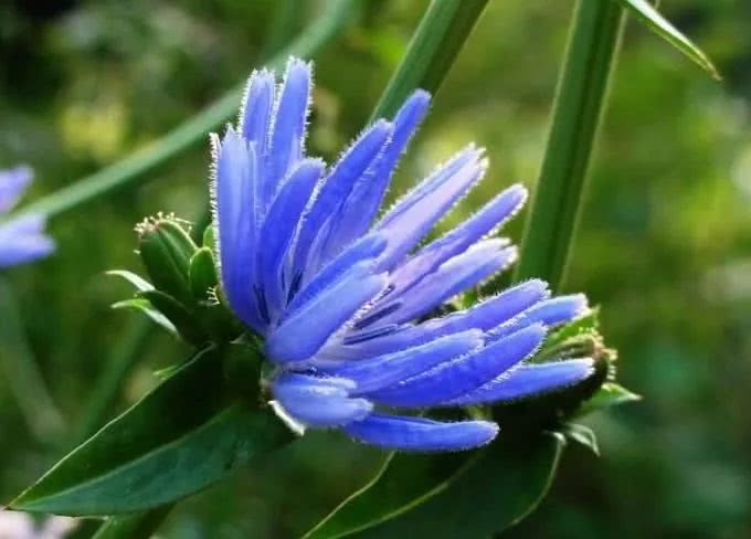 【运势】6月下旬开始横财如雨下,前程似锦,不缺福禄的四大属相