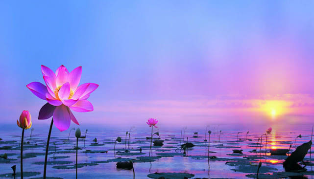 「生肖」端午节前,苦尽甘来,3生肖邂逅贵人,把握机遇财源,红透半边天