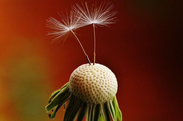 生肖|九月底，有财星高照，好运加持和能力提升，财富翻身的四大生肖