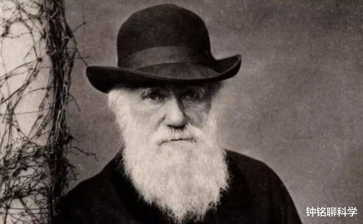 【冥王星】被踢出9大行星行列的冥王星究竟有多可怕?