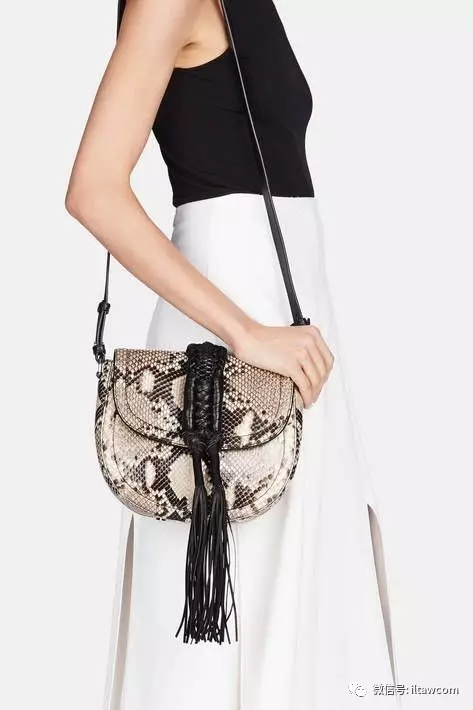 |世界上最长的蛇可以有多长?