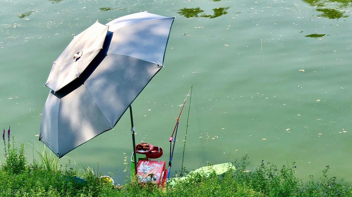 |夏天钓鱼，钓位就算选择向阳面，并不一定有好的渔获