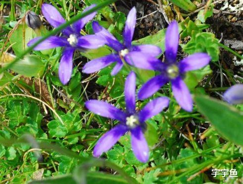 生肖|步入9月下旬，4属相运势大旺，事业发展顺利，富贵连连