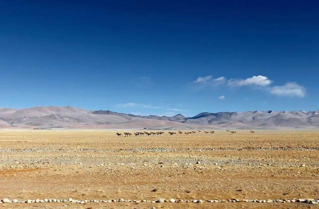 日喀则|日喀则，一个更接近天空的地方