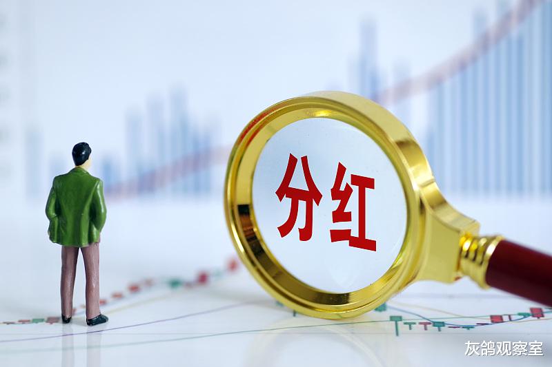 纳指|上市公司到底该不该分红，看完这篇文章，也许你就释然了