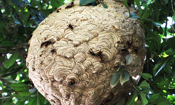 |野外钓鱼除了远离高压线，这些东西也要远离