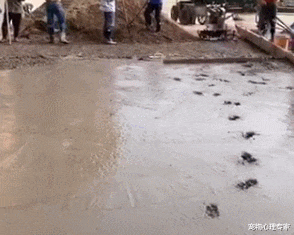 女子家在装修，却收到工人的投诉，赶过去一看后气得要打狗