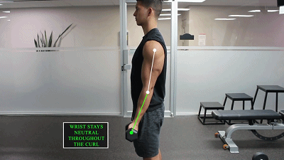 【三角肌】手臂练不粗,这几个方法让二头暴涨