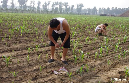 俄罗斯|中俄签下2000万吨订单，5天后俄突然坐地起价，我国直接取消订单