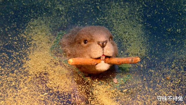 「失眠」?10个冷知识：为什么失眠时“数羊”，有什么科学依据吗