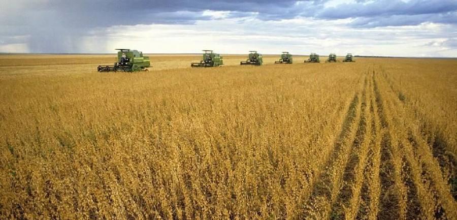 |中国大手笔！一次性购买350万吨粮食，国民举国欢庆：感谢中国