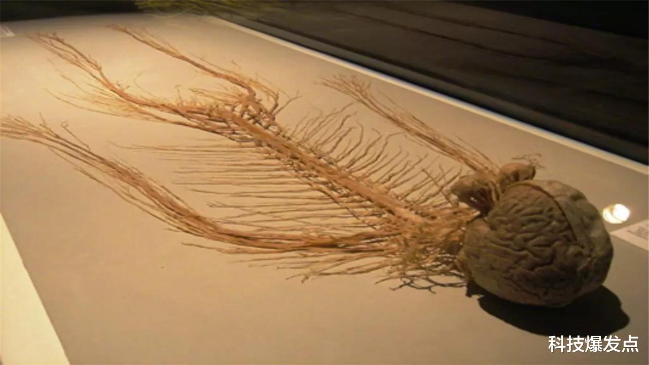 外星人|人类生活在虚拟中？推背图中的描述，似乎在像人类透露什么？