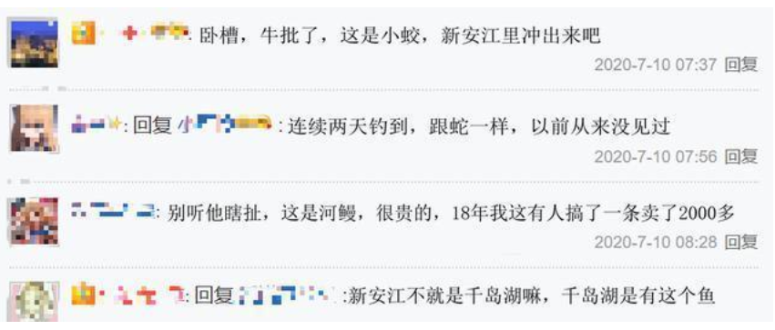 千岛湖|千岛湖水库泄洪后，出现稀有鱼类，价值300元一斤！