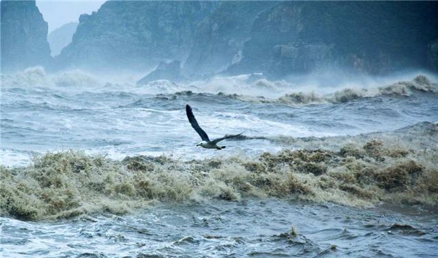 夏娃|人类究竟从何而来?或许“神话故事”就是历史