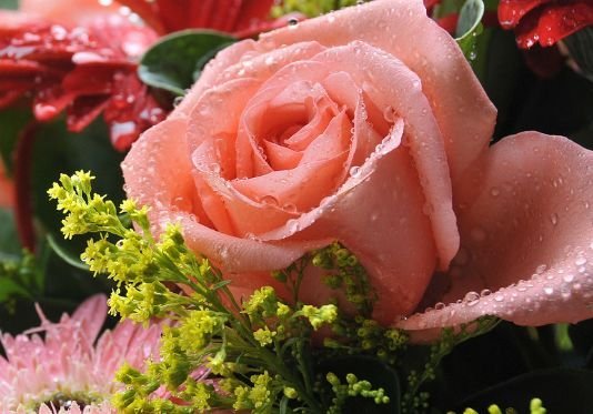 运势|未来10天吉星庇佑，4属相好运连连，大吉大利，富贵荣华