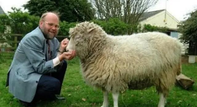 火星|当初闹得纷纷攘攘的克隆技术，为何今无人问津，看看克隆羊的下场