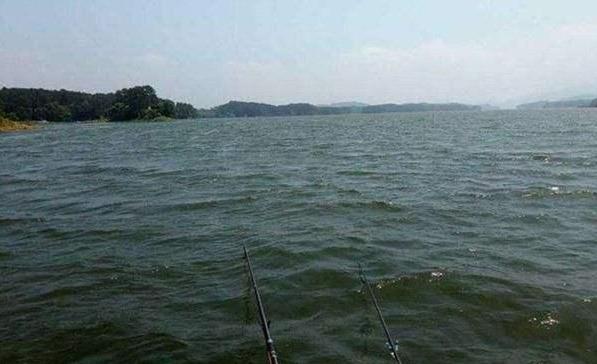 玉米|超大钩距钓法，在实战中的这些难点，应该如何应对