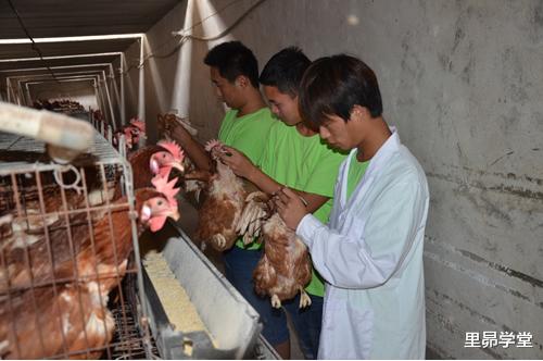 大学|这4个大学专业，家长是最不愿让孩子报考的，实际却都很好就业