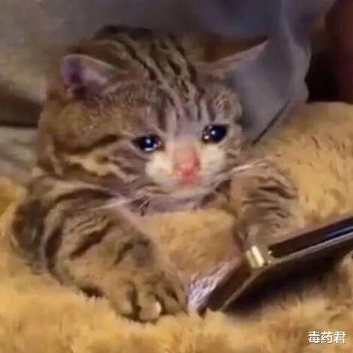 电影|倒退30年，国产影视剧比你想象的猛