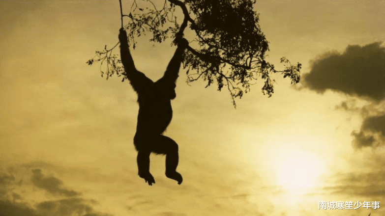 科学家@这是人类起源最全的解释,以及人类被放逐的真相,彻底颠覆了三观