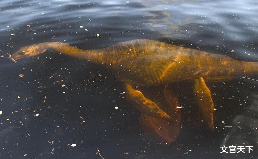 尼斯湖水怪|尼斯湖水怪闪现10秒！老船长捕捉10米长“声纳图像”：越发接近真相