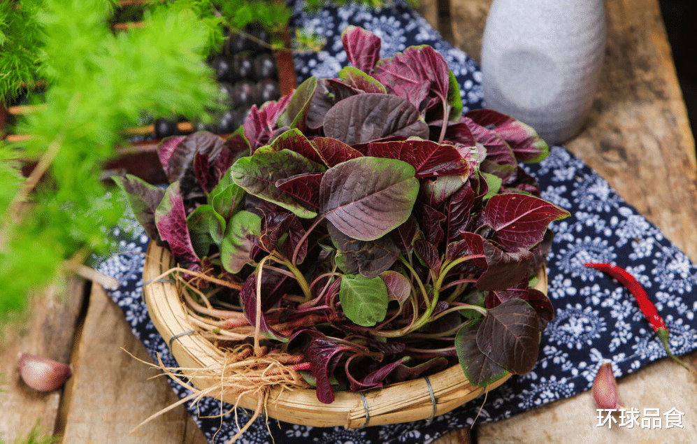 苋菜|秋天，遇见此菜别手软，等于“补血库”，补血养血，脸色更红润