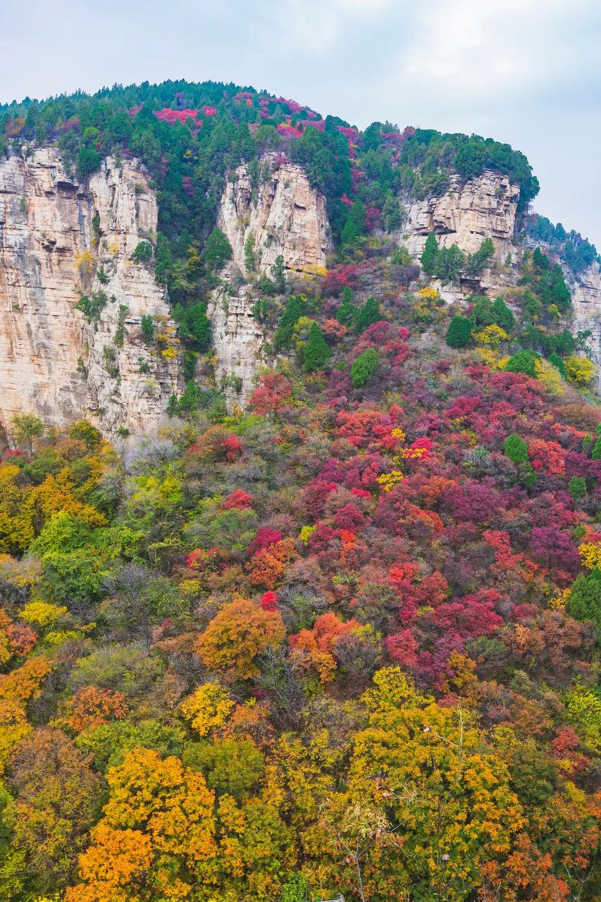林芝|这才是国庆小长假最值得去的14个地方，莫负大好秋色，来一场避开人潮的旅行吧