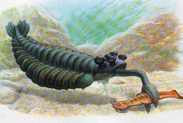 鲸鱼|它们比恐龙更可怕