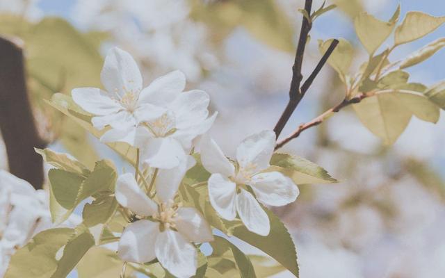 射手座|与这3个星座久处不厌，甚至更喜欢，宛如春风拂面