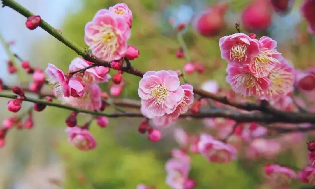 『运势』5月22号起，4生肖头顶聚宝盆，喜事、贵人躲不掉！