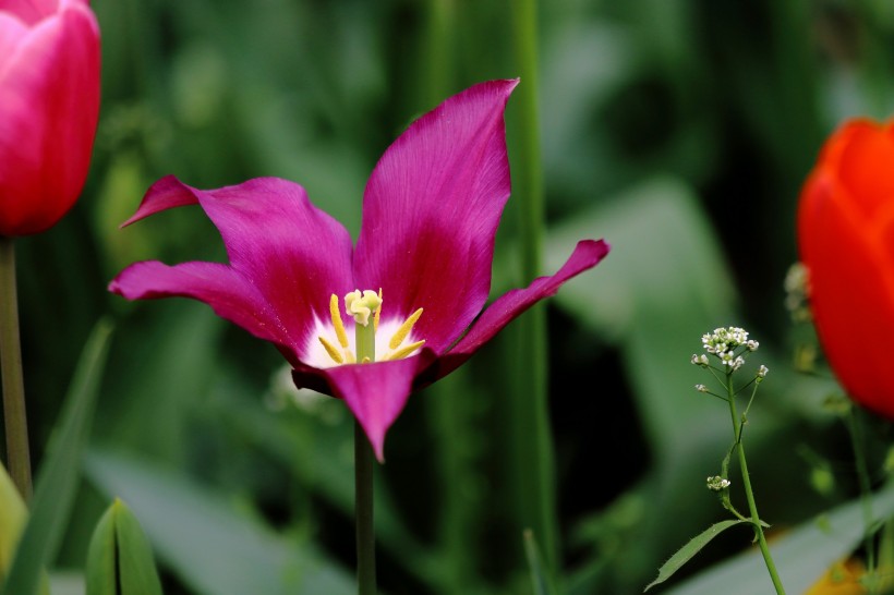 走到底|7月初，一次遇到你，一次走到底，4大生肖用情专一，收获美满姻缘