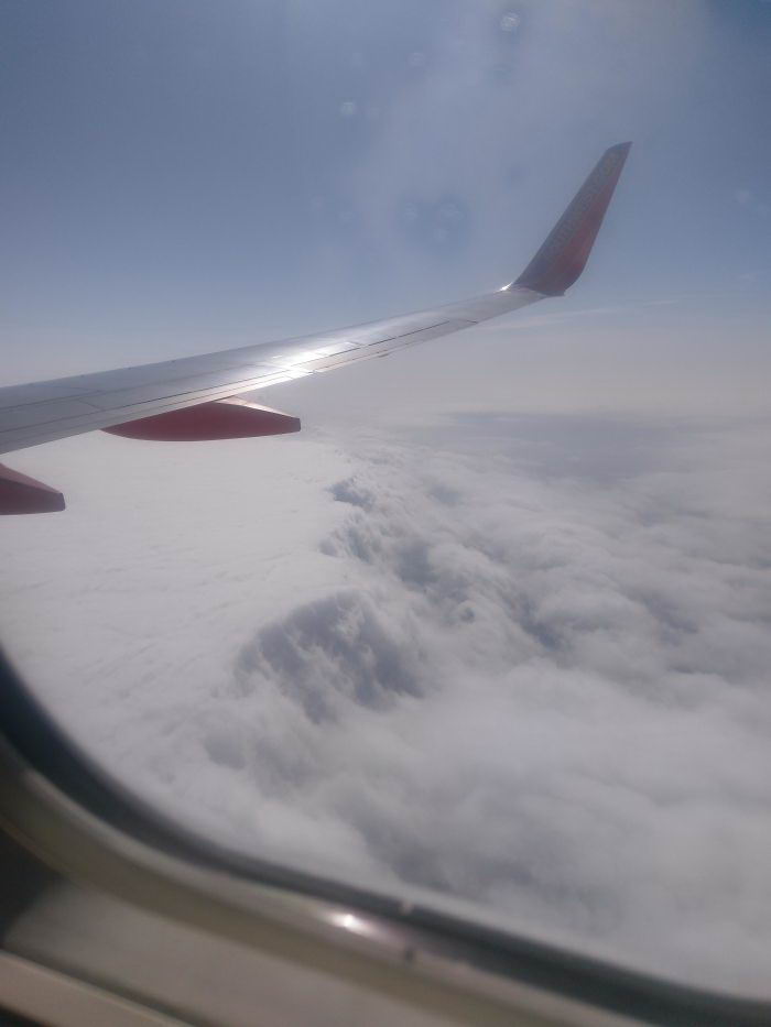 癌细胞|16张罕见的图片为您打开了您从未见过的新视角（第7期）