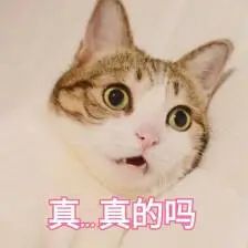 重症监护室■他去摘荔枝，却被送进了ICU！