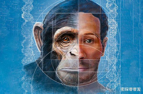 黑猩猩|苏联科学家重金找5名女性，人和黑猩猩后代实验，最后结果如何？