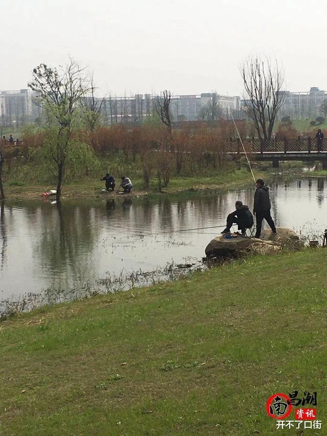 『南昌』疫情下高新南塘湖公园钓鱼—行摄南昌02