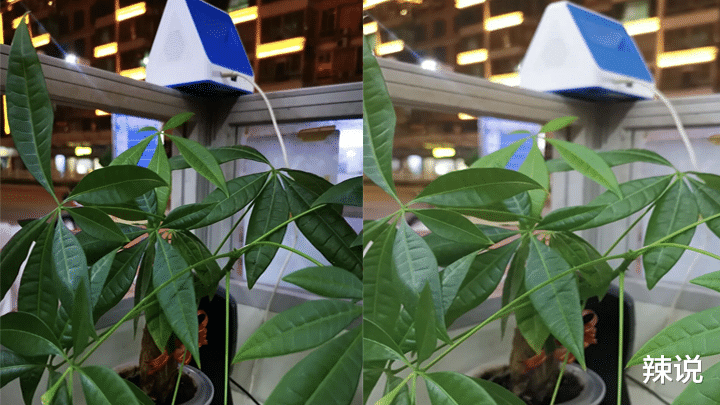 苹果|快充、拍照都翻车了，高刷新率屏幕也步入后尘，国产该醒悟了吗？