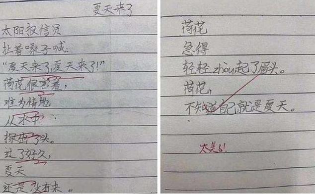 作文:小学生满分作文《我的理想》走红,老师批语抢镜:小心你同桌