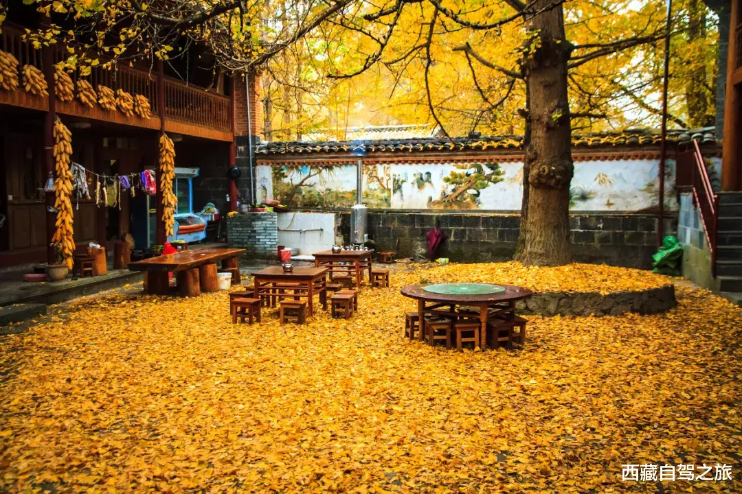 自驾|秋天最美的8条自驾路线！9月10月美成天堂，错过就要再等一年！